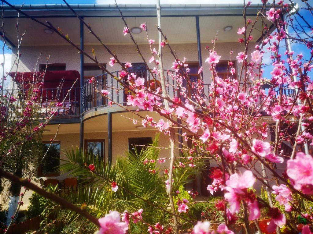 Zahrada ubytování Hostel Sadu Kutaisi