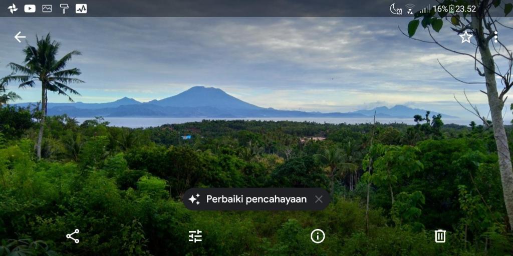 Mount Sea View Bungalow - 7