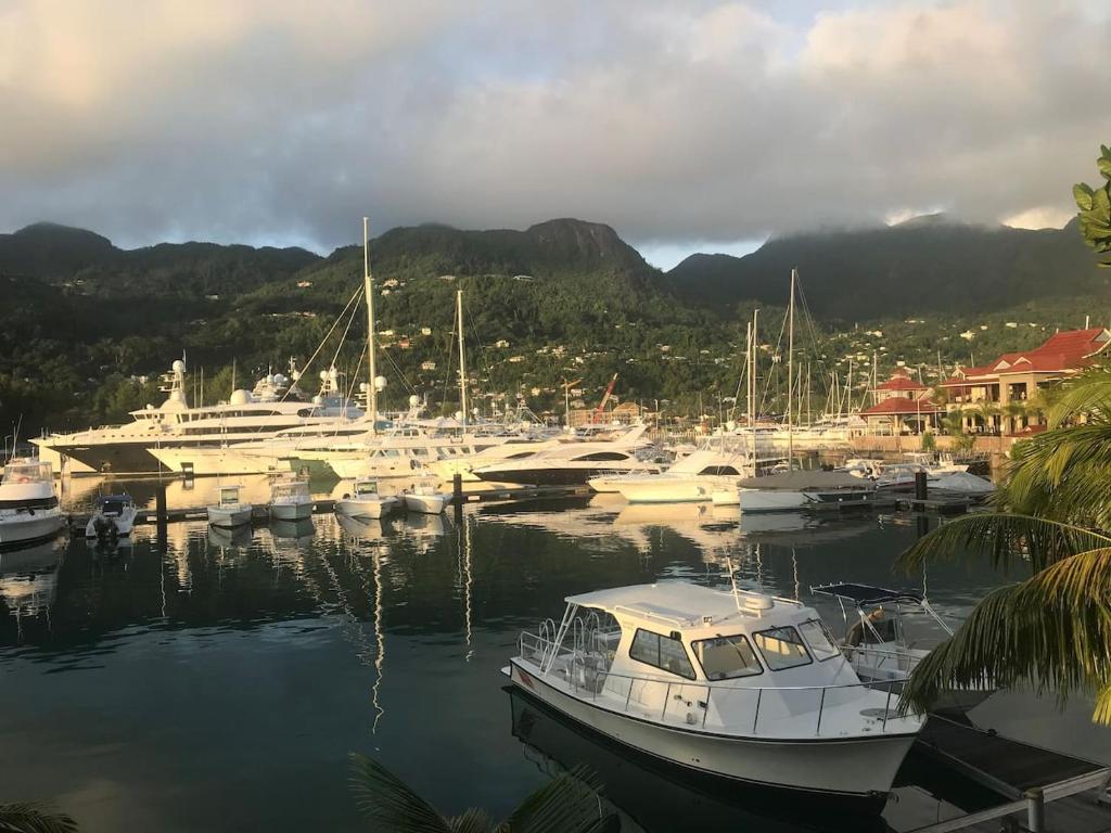 a group of boats are docked in a marina at Eden Island Gem in Eden Island