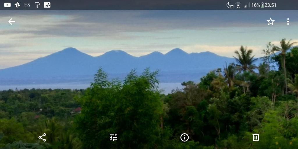 Mount Sea View Bungalow - 9