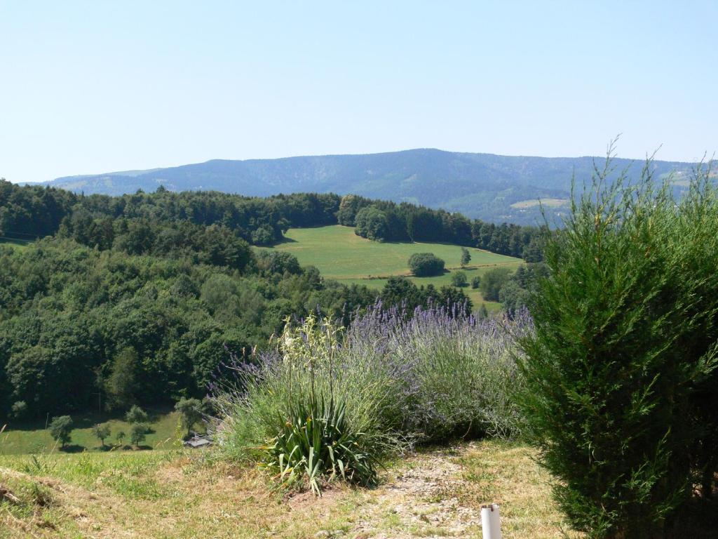 a view of a hill with trees and a field at Gîte la Sapinière in Labaroche