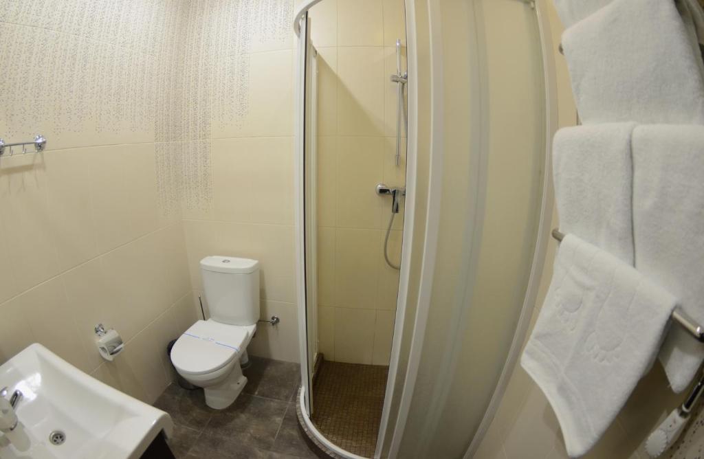 Hotel Complex Dacha - Superior Double Room