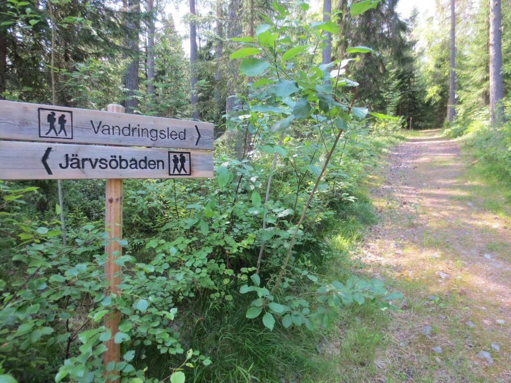 Příroda nedaleko penzionu – hostince