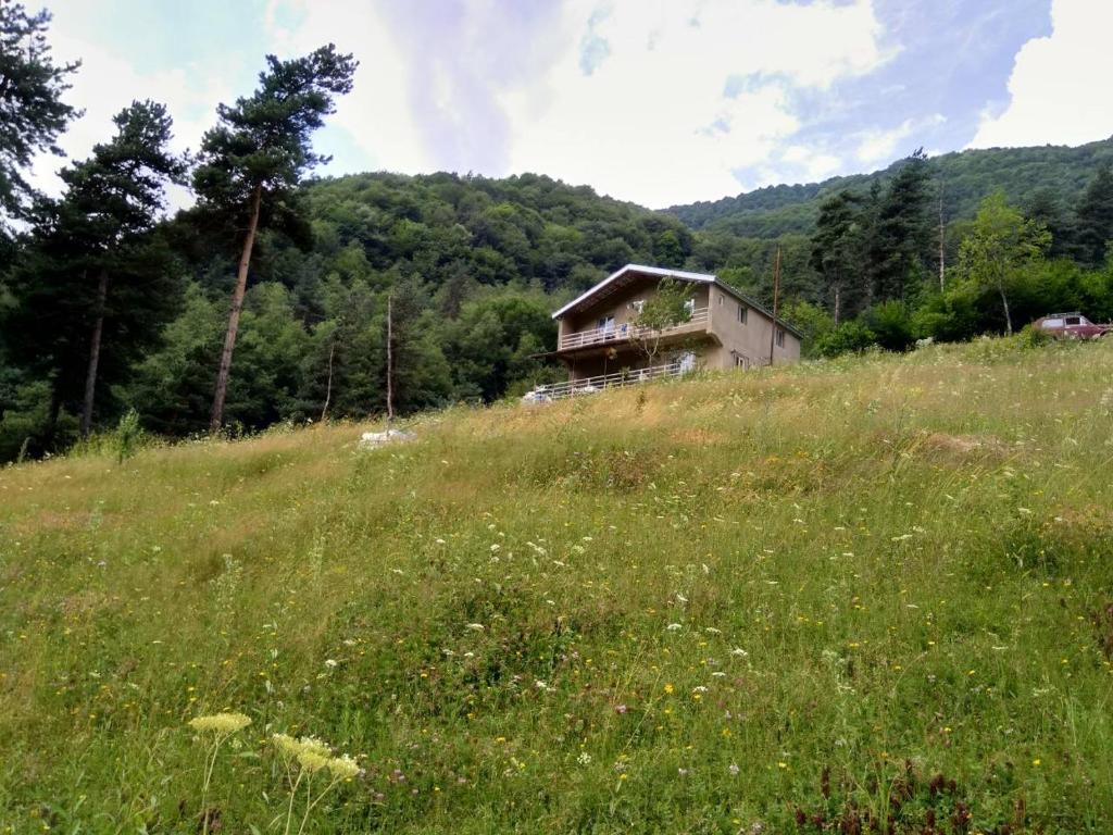 a house on a hill in a field of grass at Gama Guesthouse in Roshka
