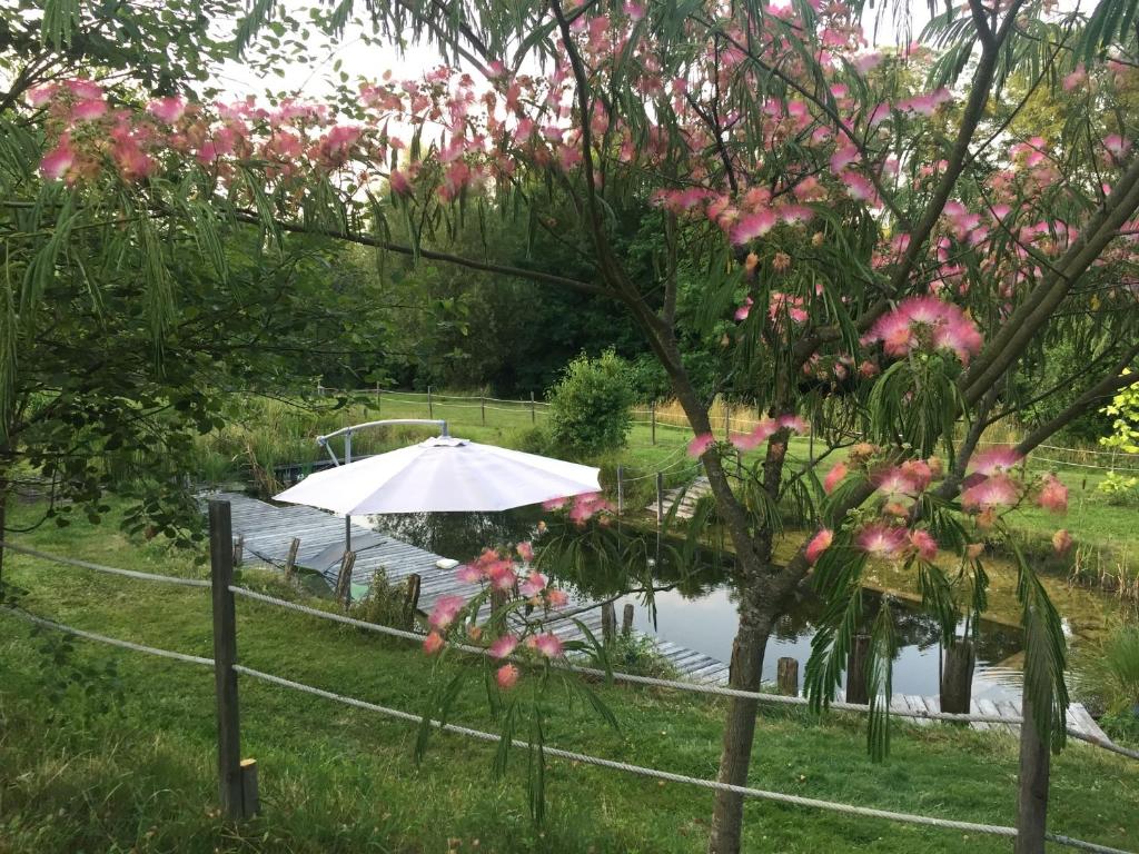 un paraguas blanco en un estanque con flores rosas en Ô Saveur de l’Instant, en Saint-Usuge