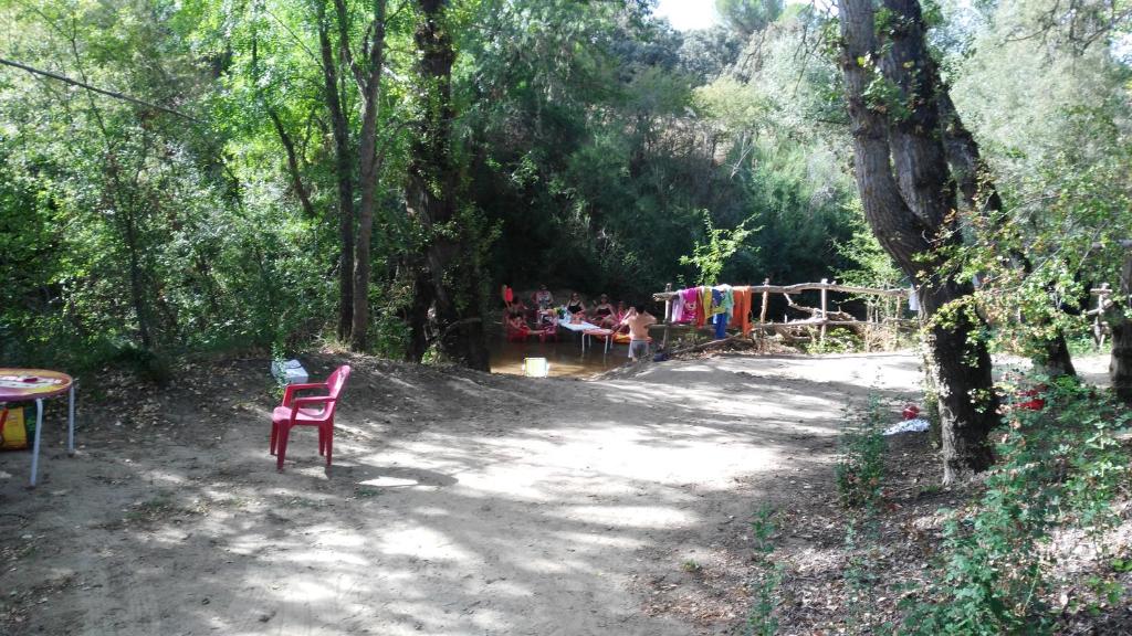 Táj Show holiday homes közelében