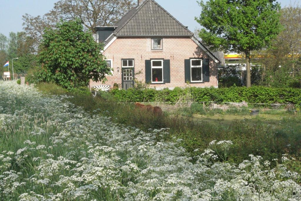 un jardín con flores blancas frente a una casa en Bed and Garden Alde Coninckshof en Weurt
