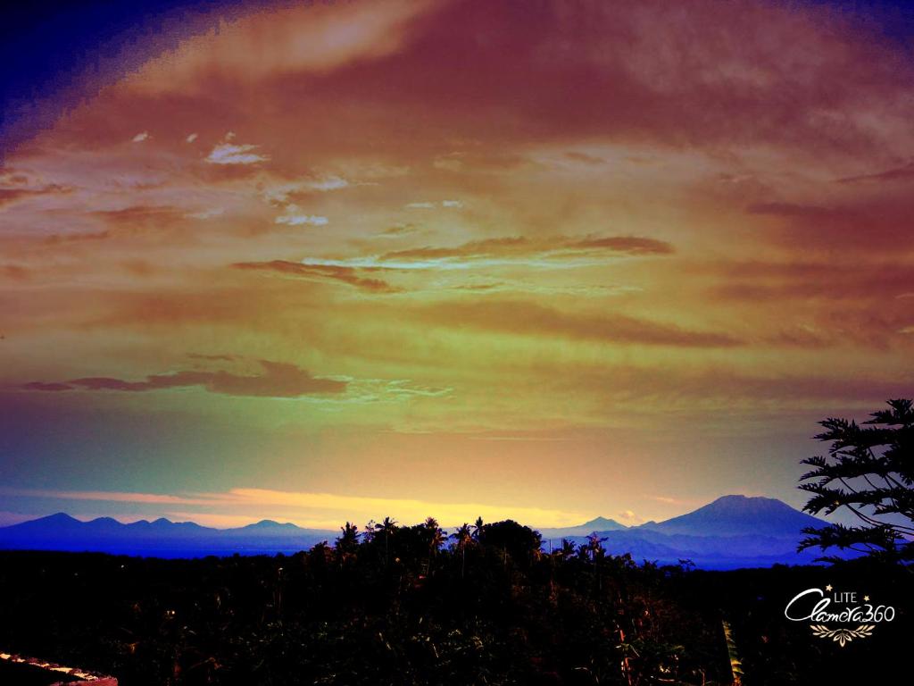 Mount Sea View Bungalow - 8