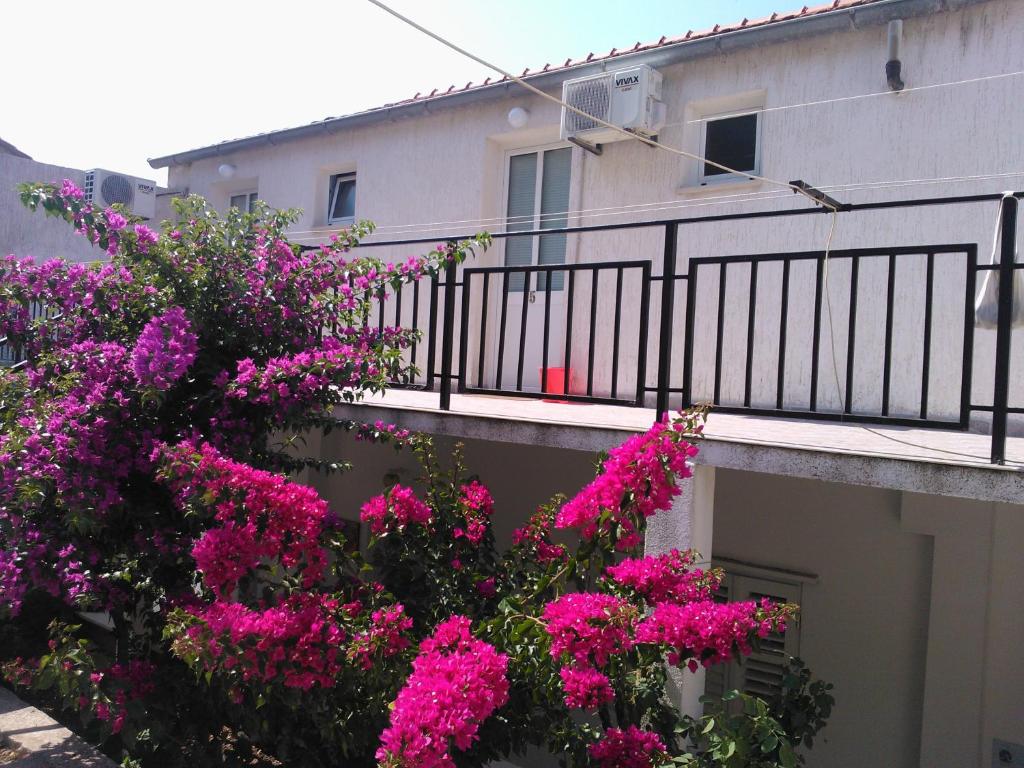 Zahrada ubytování Guest House Radulj