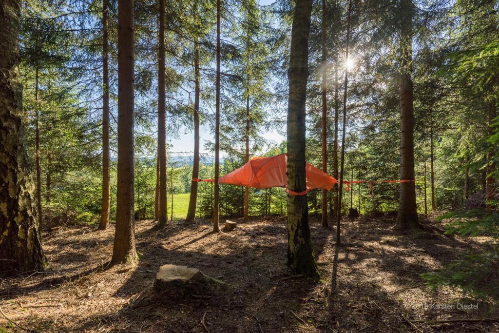 a red tent in the middle of a forest at Baumzelt am Waldesrand in Regen