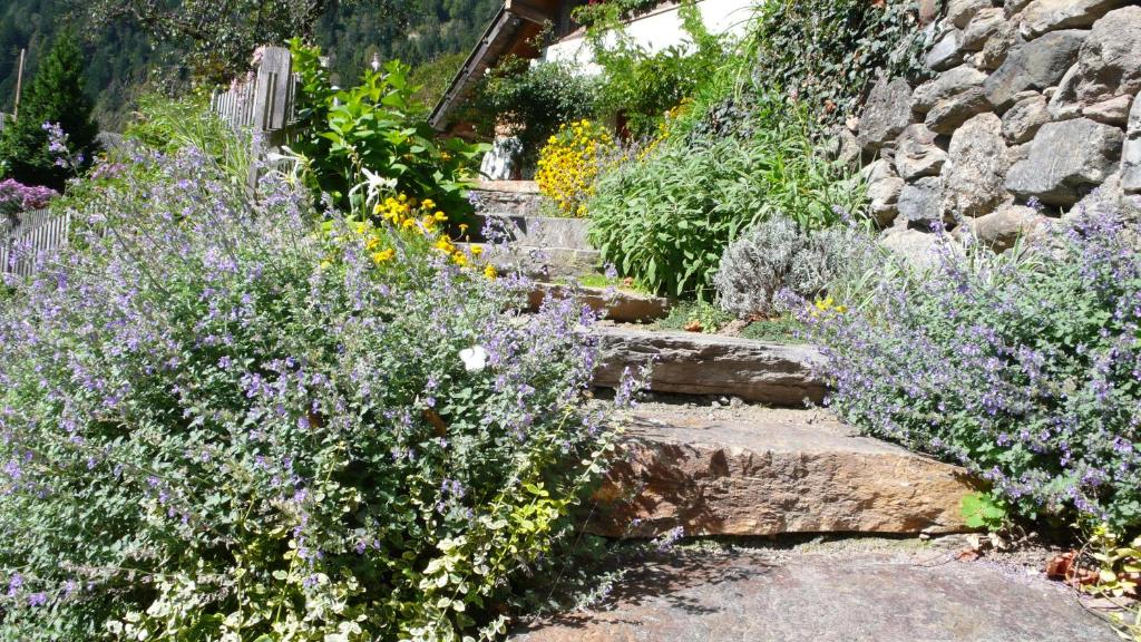 a garden with purple flowers and a stone wall at Obergereuth Hof in San Martino