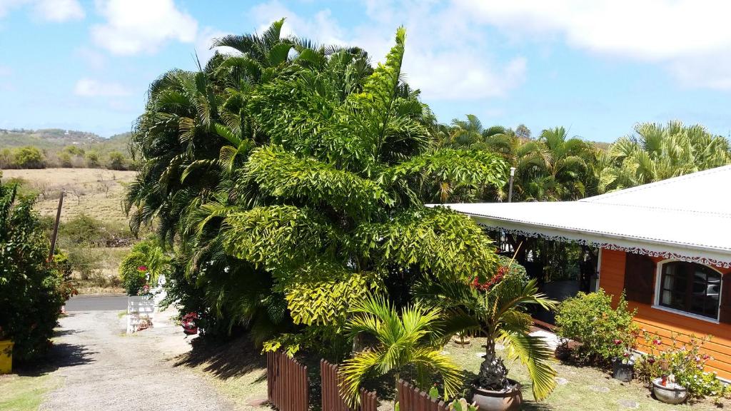 Zahrada ubytování Cap Martinique