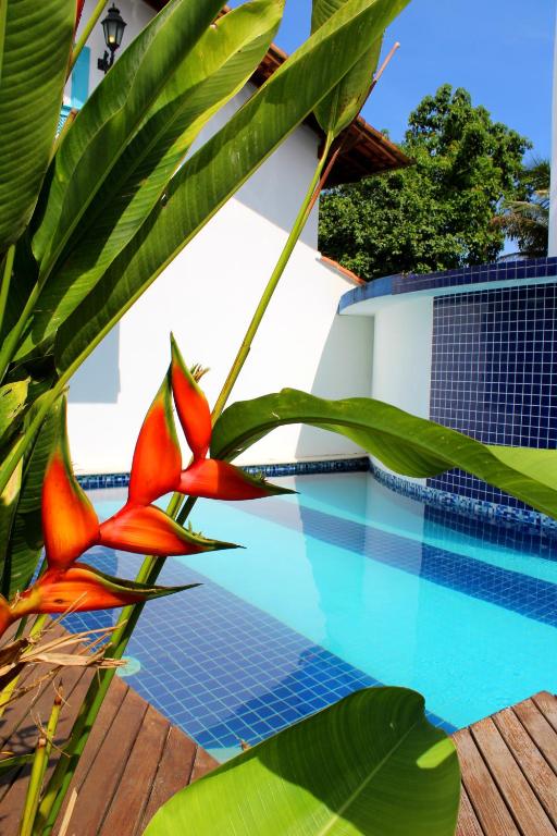 una planta con flores rojas junto a una piscina en Recanto das Andorinhas Studios, en Paraty