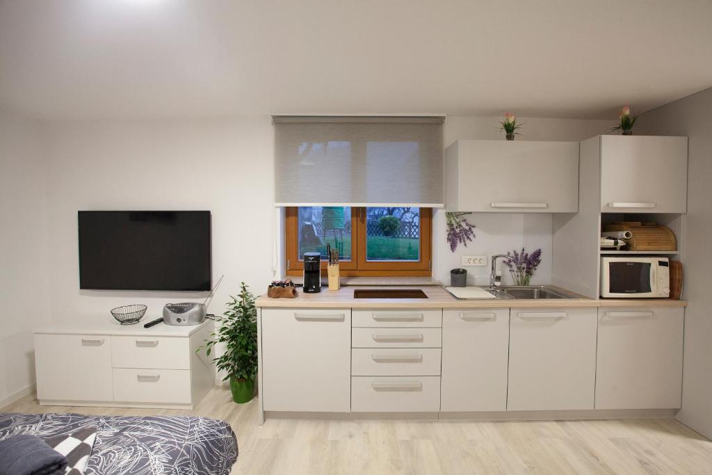 a kitchen with white cabinets and a flat screen tv at Studio Jan in Zgornje Gorje