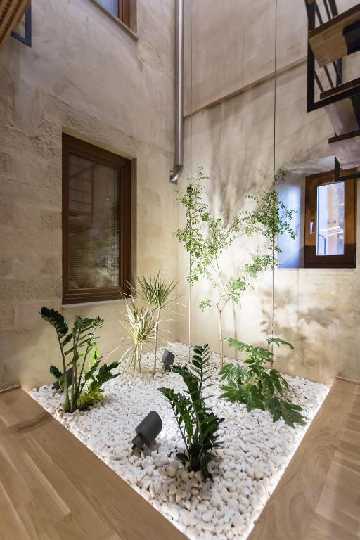 Polixeny's Suites - Resim 36