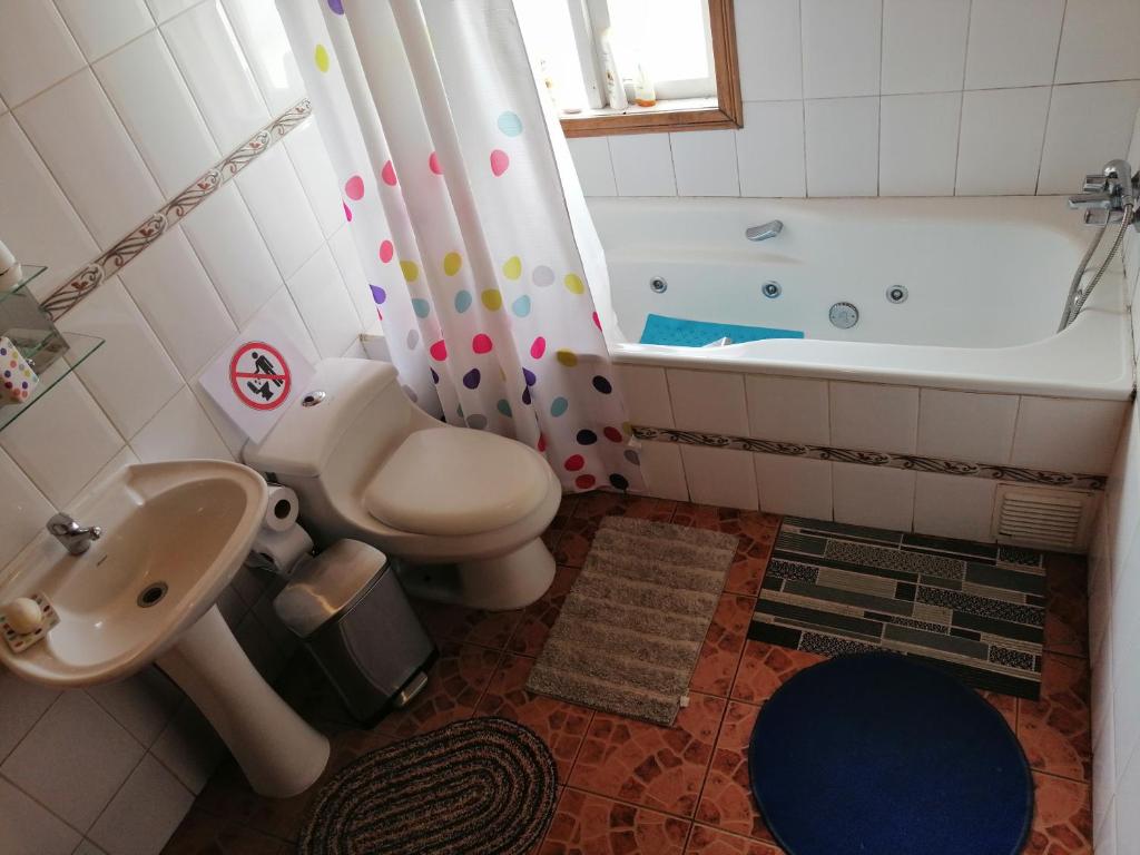Un baño de Globertrotters