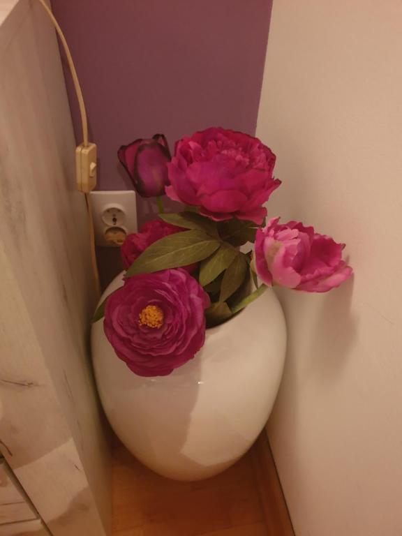 Apartments and Rooms Villa Lina - 18