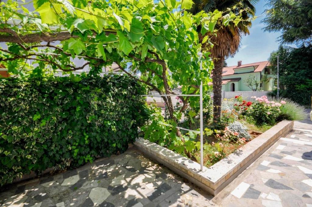 Zahrada ubytování Jutta Apartment