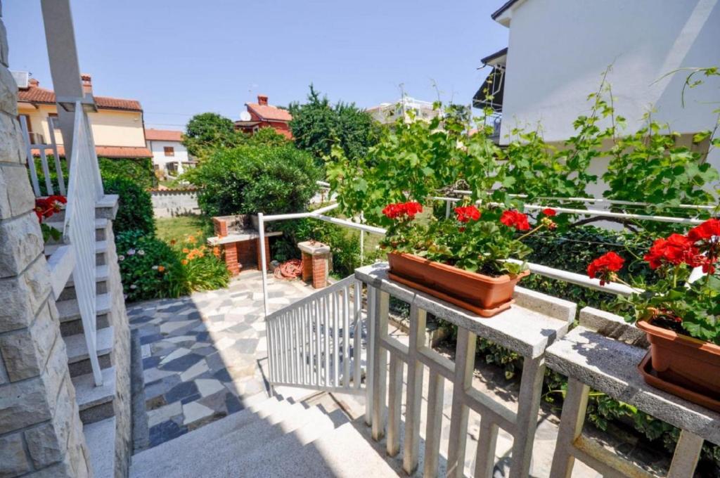 Zahrada ubytování Jutta Apartment