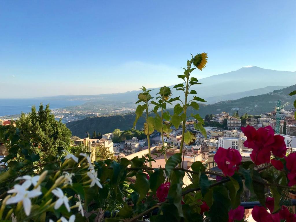 BellaVista Apartments - 2