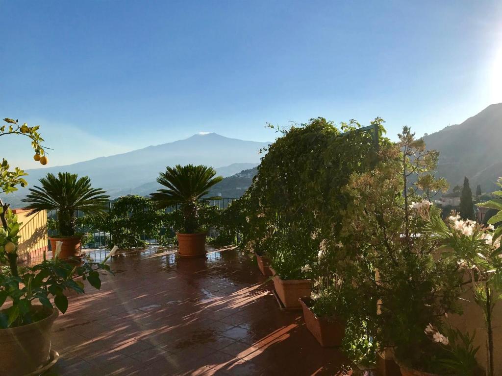 BellaVista Apartments - 5