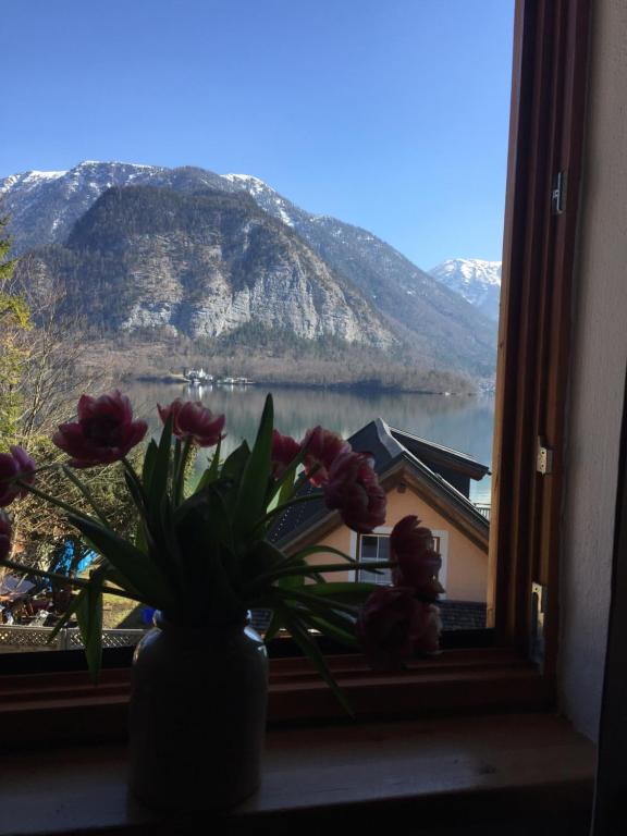 Appartement Emilia - 16