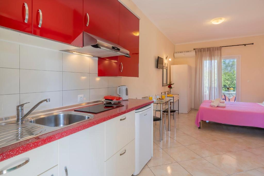 Kuchyň nebo kuchyňský kout v ubytování Ziogas Luxury Apartments
