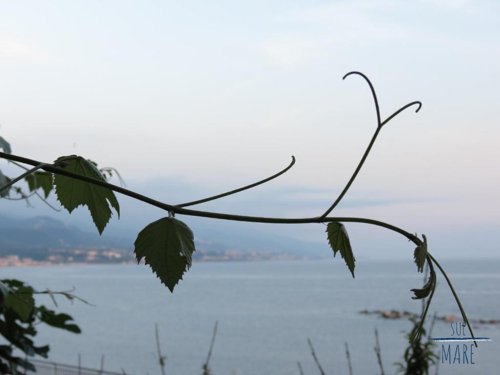 Sul Mare B&B