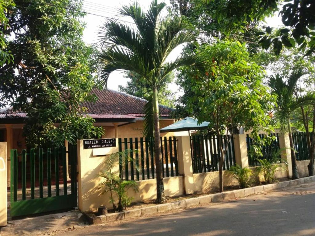 una cerca frente a una casa con una palmera en Ndalem Diajeng en Yogyakarta