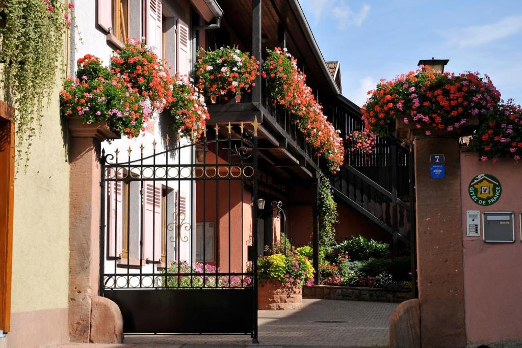 un edificio con fioriere sul lato di esso di Gites-Weyer La maison a Bergheim
