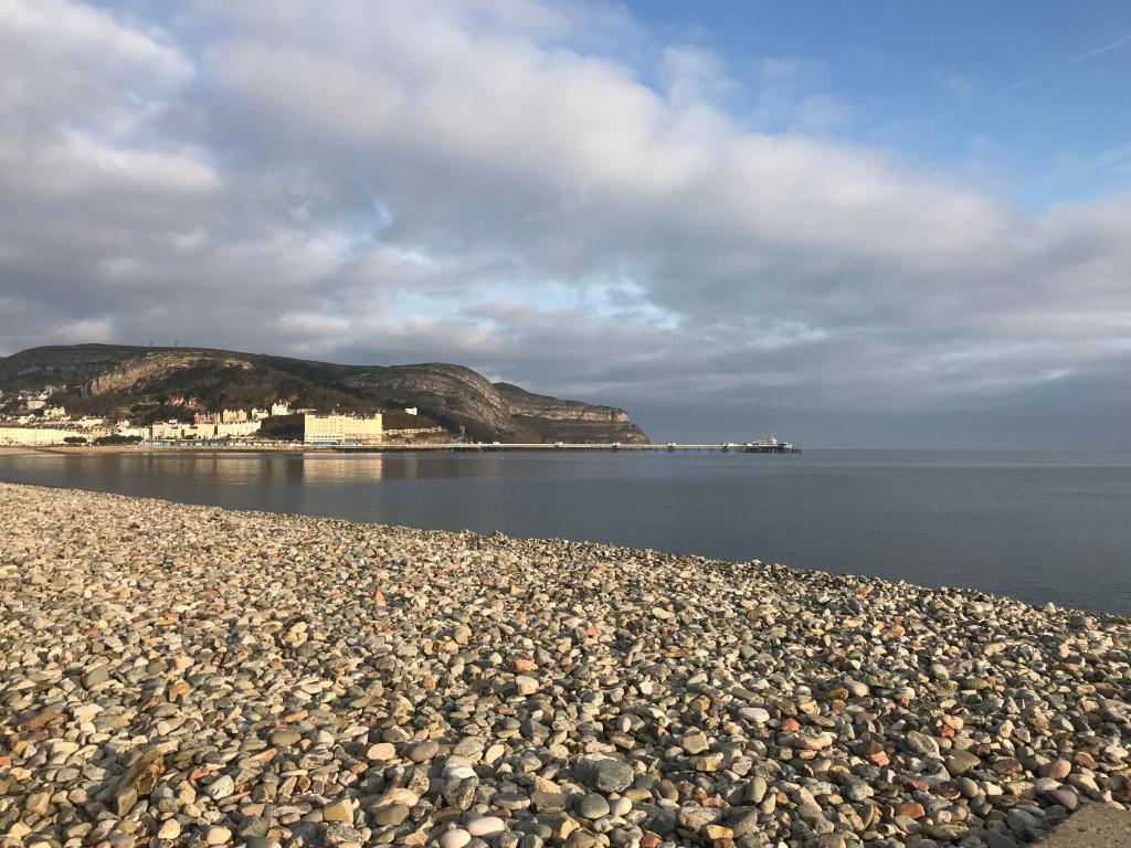 The Shelbourne - Resim 44