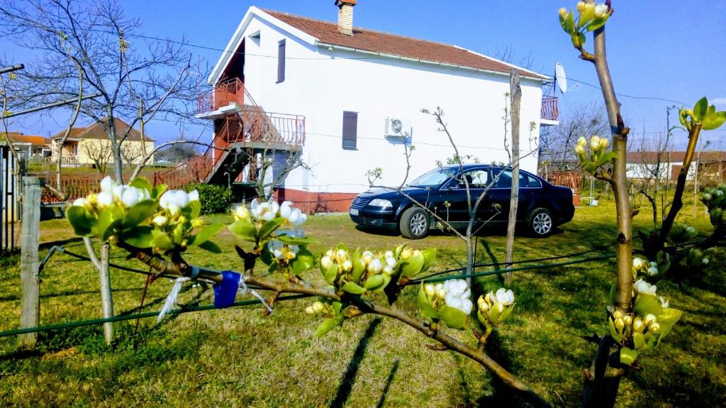 Zahrada ubytování Airport home Radinovic