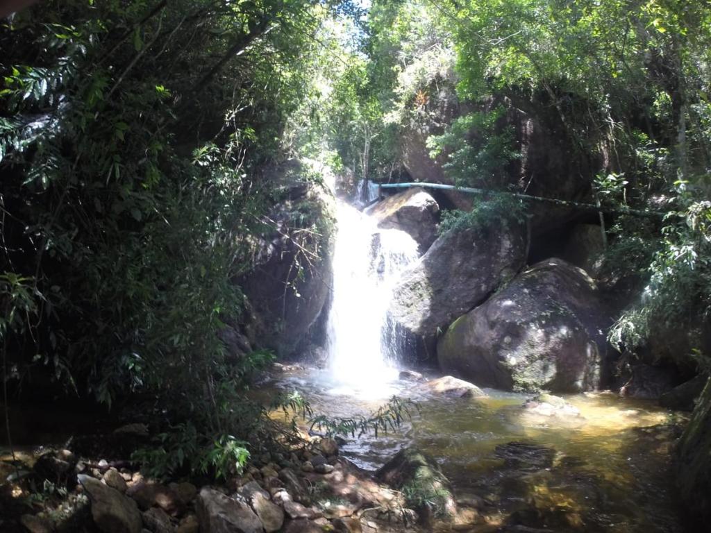  Chales Bamboo Jungle