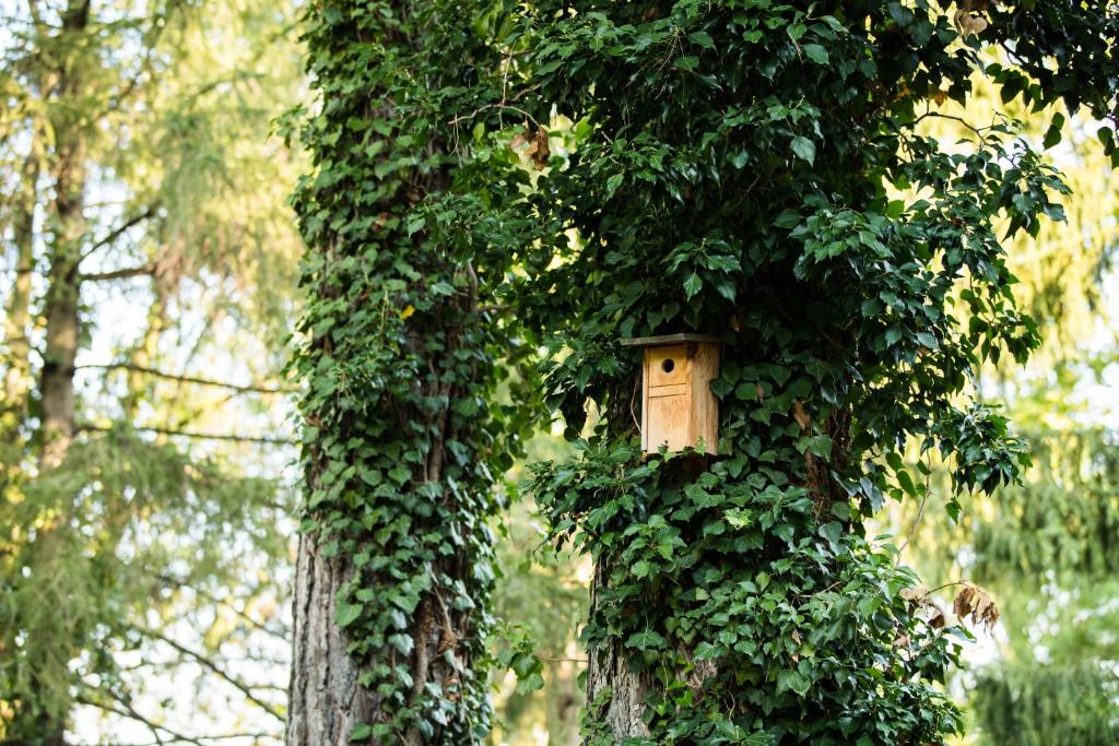 Engimatt City & Garden Hotel - Resim 41