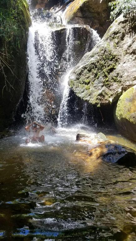  Chales Bamboo Jungle