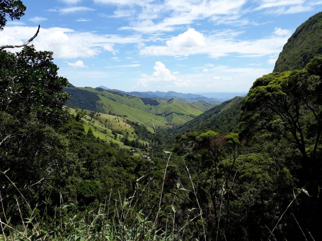  Chales Bamboo Jungle