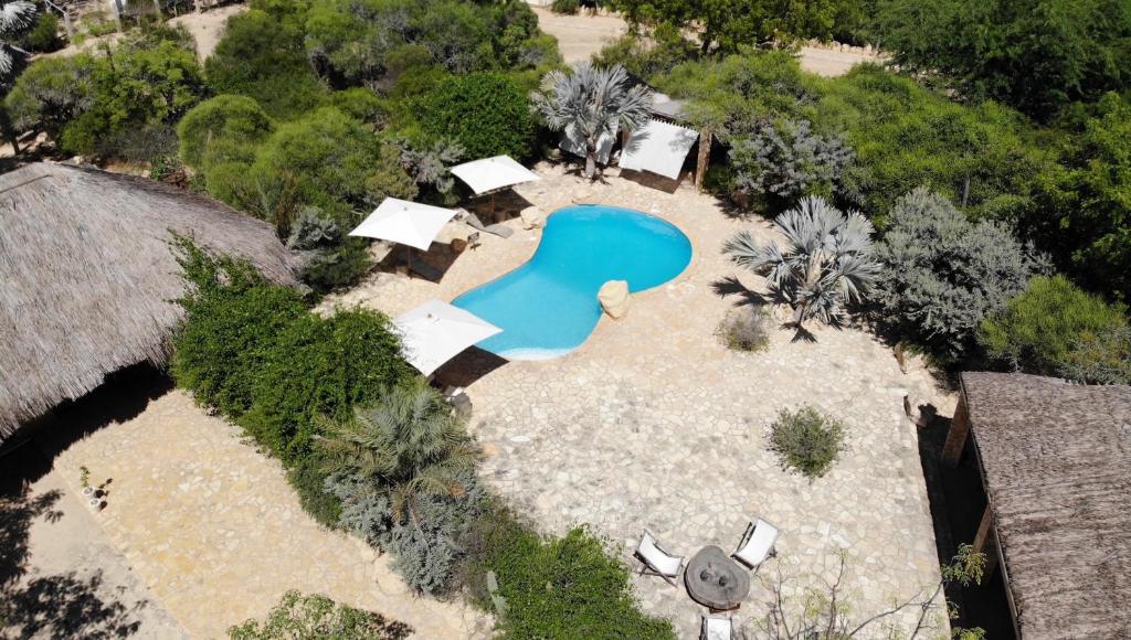 an overhead view of a swimming pool in a backyard at Auberge de la Table in Toliara