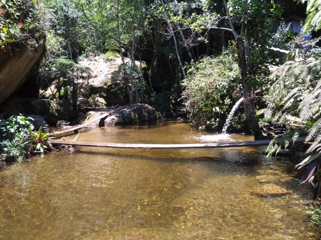  Chales Bamboo Jungle