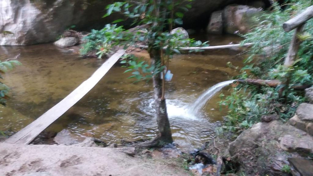  Chales Bamboo Jungle