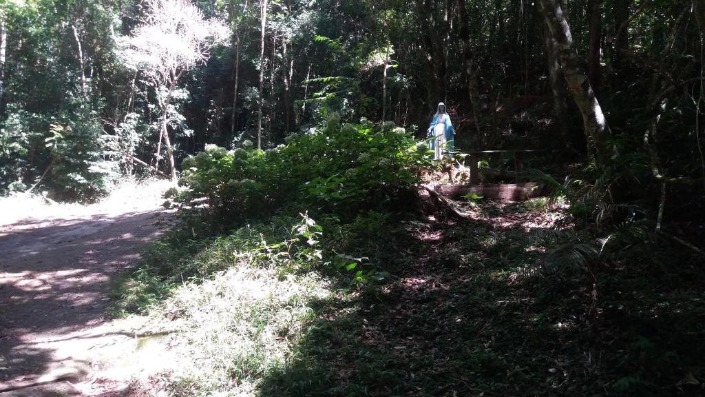  Chales Bamboo Jungle