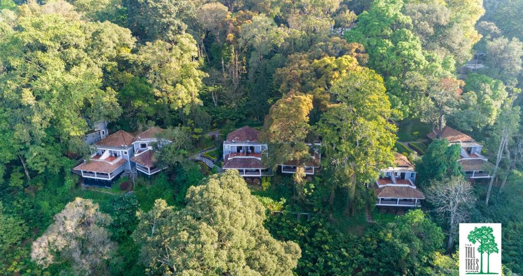an aerial view of a house in the forest at The Tall Trees in Munnar