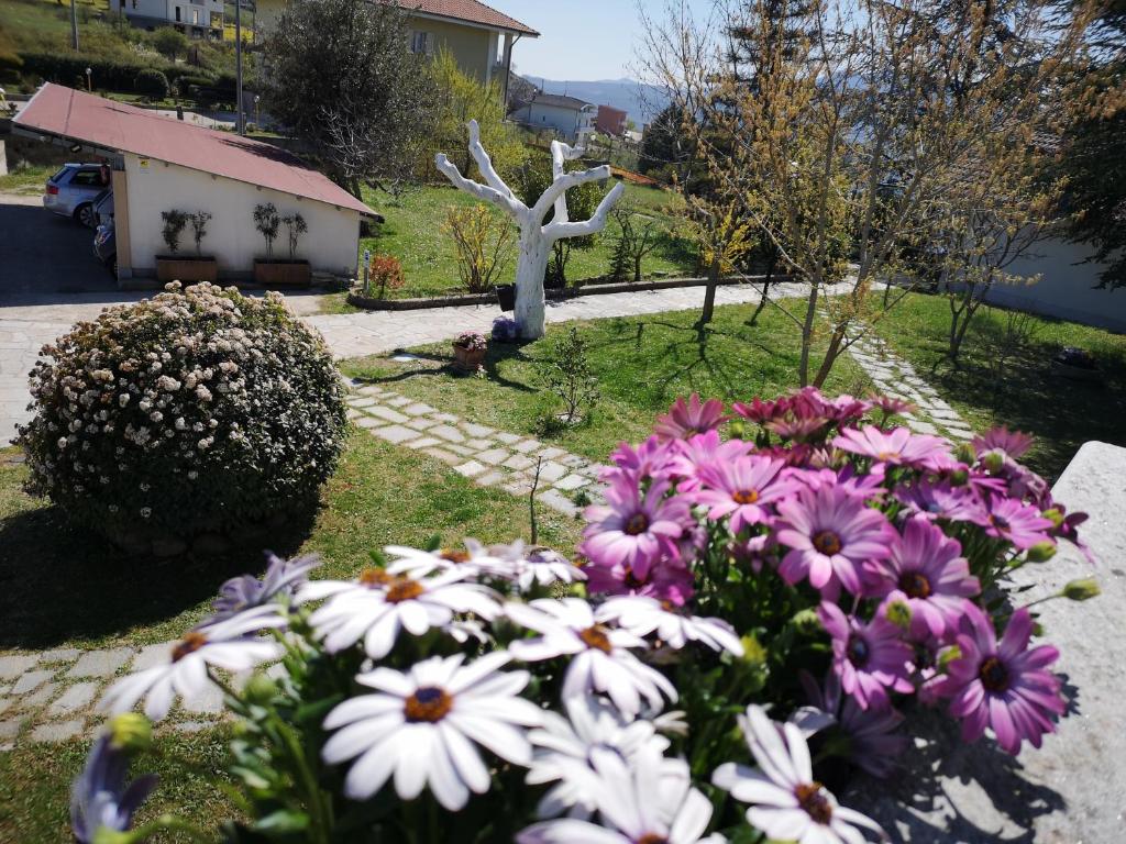Zahrada ubytování Gianmaria B&B