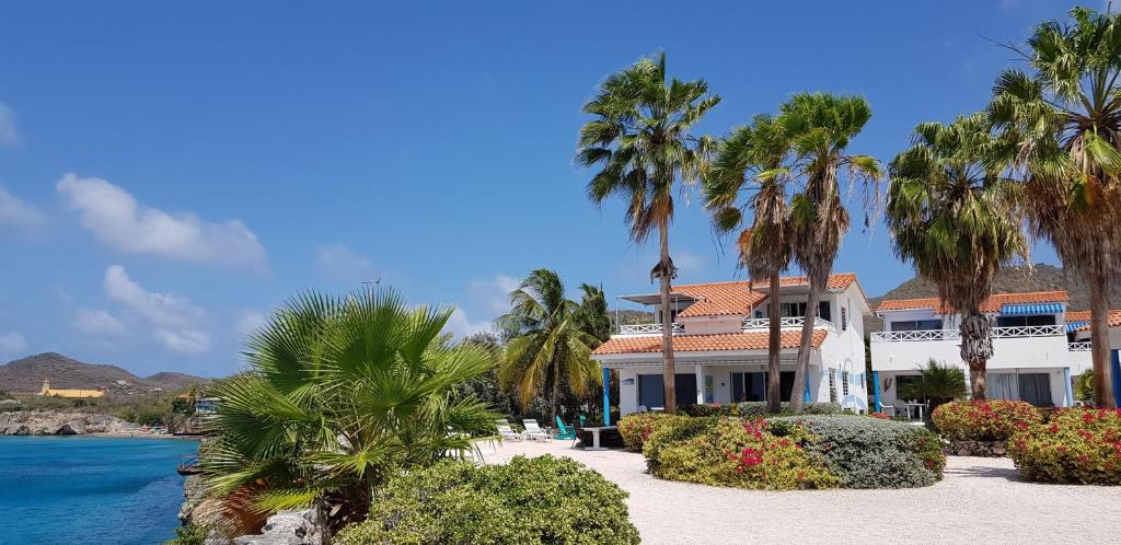 ein Haus mit Palmen vor dem Wasser in der Unterkunft Marazul Dive Apartment F1 in Sabana Westpunt