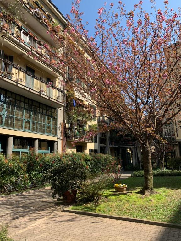 A garden outside Mini loft Moscova