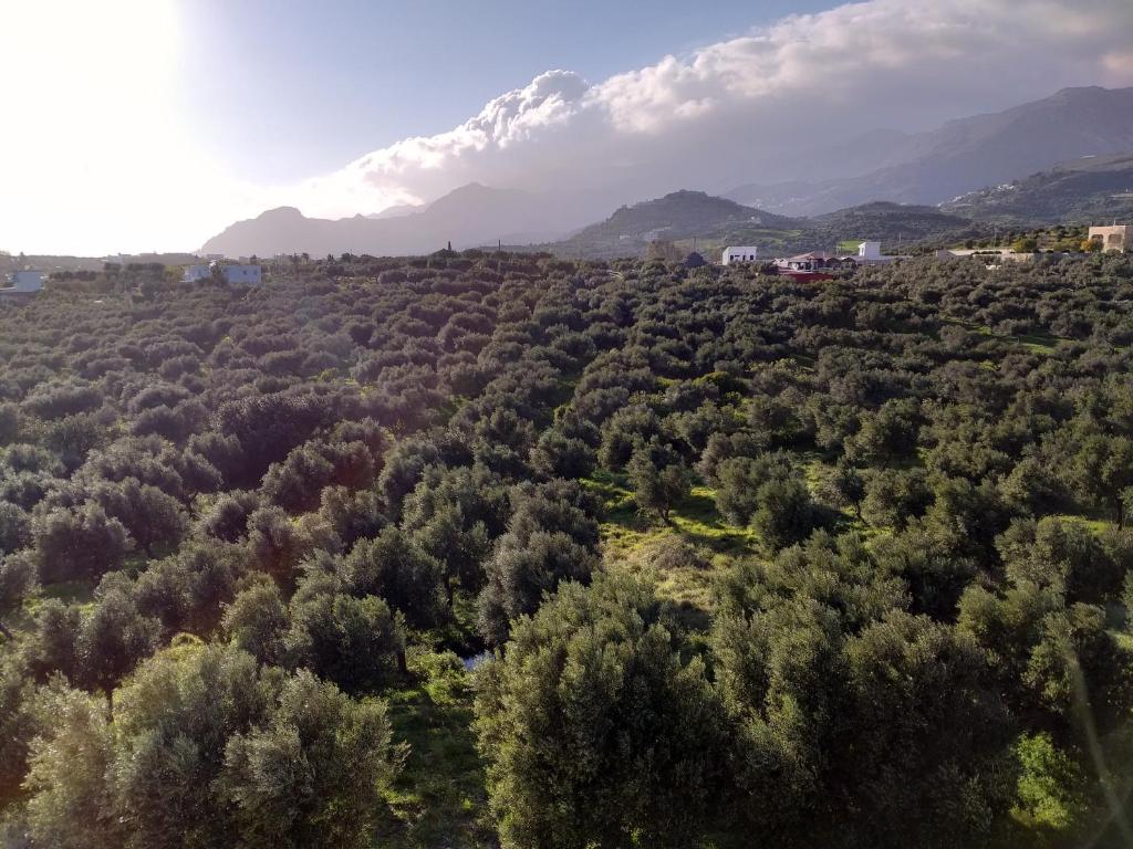 Príroda v okolí apartmánu