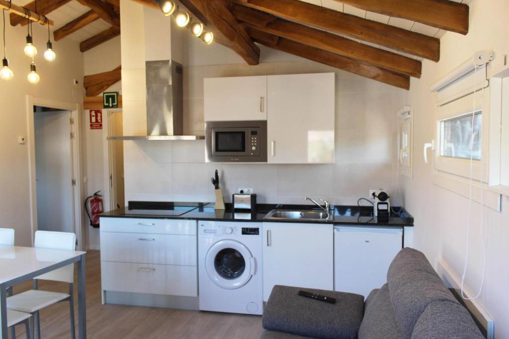 Kuchnia lub aneks kuchenny w obiekcie Apartamentos Elizondo Center