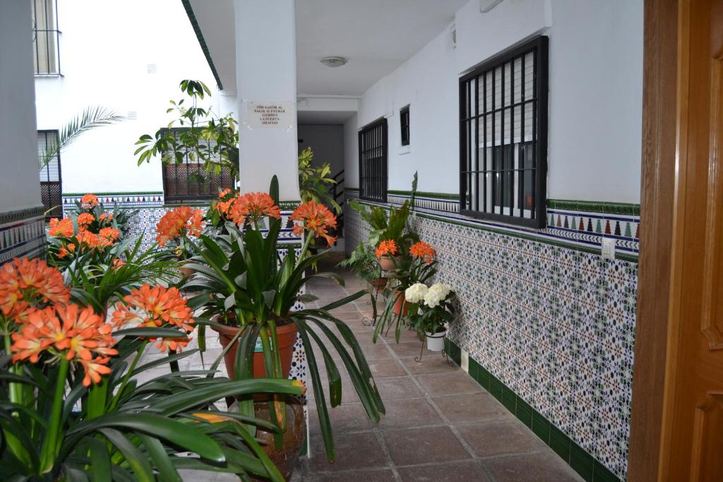 A balcony or terrace at Nuevo Sueño del Alcazar