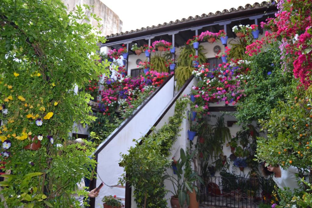 A garden outside Nuevo Sueño del Alcazar