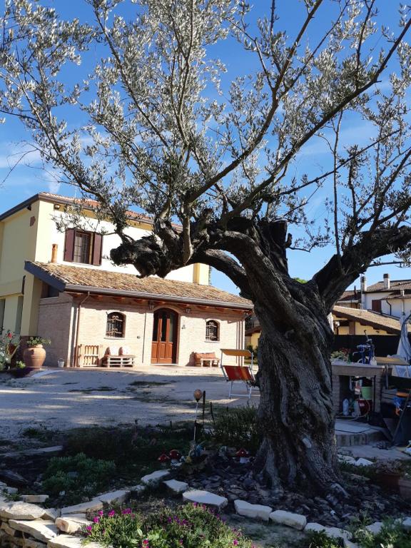 un gran árbol frente a un edificio en Il Focolare B&B, en Casa Ottani