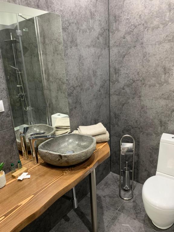 a bathroom with a stone sink and a toilet at Sanktuarium Snu Apartments in Głubczyce